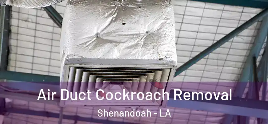  Air Duct Cockroach Removal Shenandoah - LA