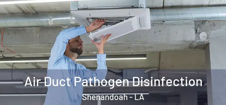  Air Duct Pathogen Disinfection Shenandoah - LA