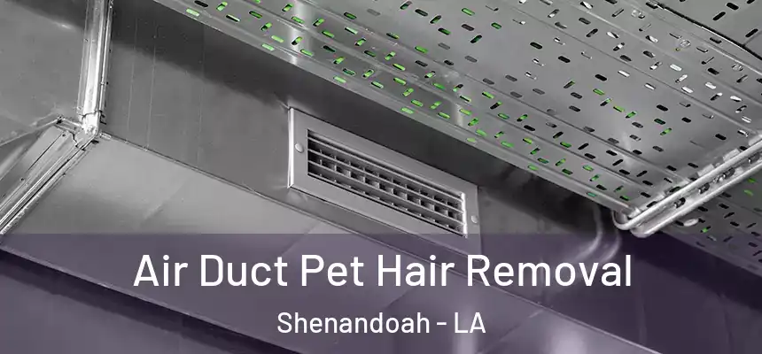  Air Duct Pet Hair Removal Shenandoah - LA