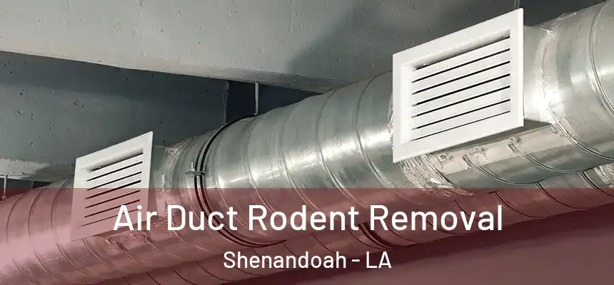  Air Duct Rodent Removal Shenandoah - LA