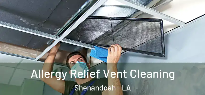  Allergy Relief Vent Cleaning Shenandoah - LA