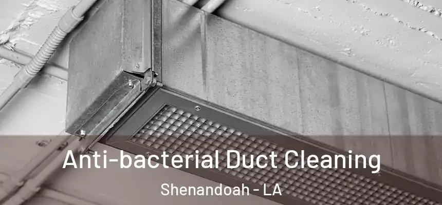  Anti-bacterial Duct Cleaning Shenandoah - LA