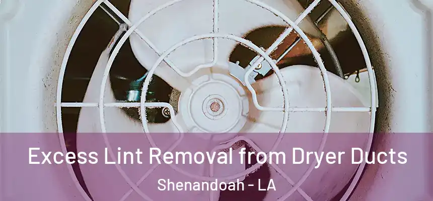  Excess Lint Removal from Dryer Ducts Shenandoah - LA