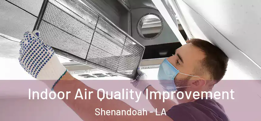  Indoor Air Quality Improvement Shenandoah - LA