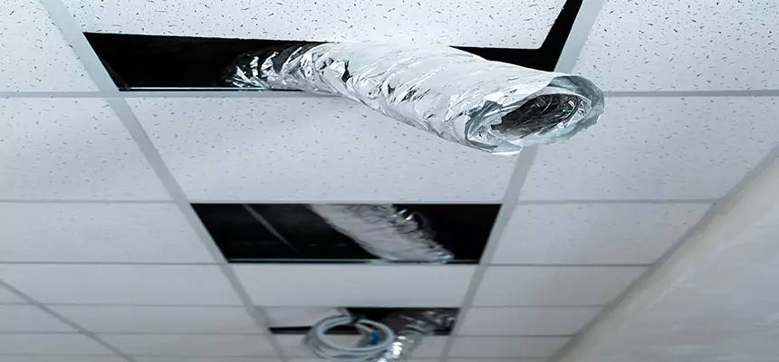 Affordable HVAC Sanitizing After Pest Removal in Shenandoah