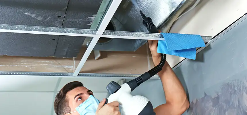 Our Air Duct Rodent Removal Services in Shenandoah, LA