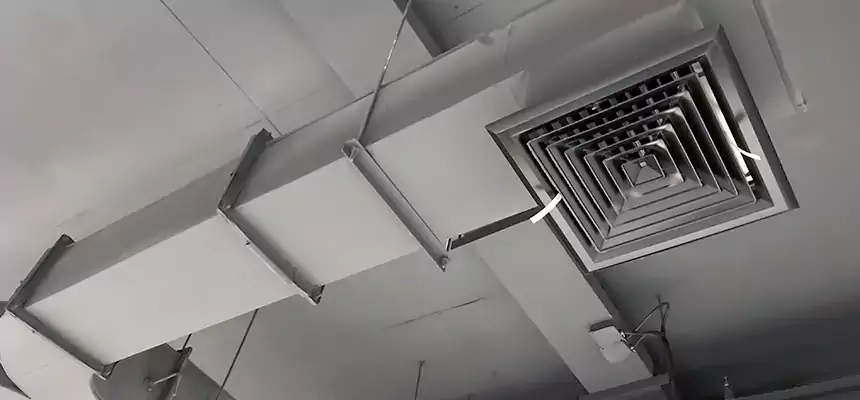 Restorative Allergy Relief Vent Cleaning – Coil, Blower & Housing Detail in Shenandoah