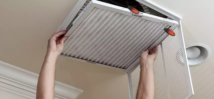 Our Insect Removal from Air Ducts Services in Shenandoah, LA