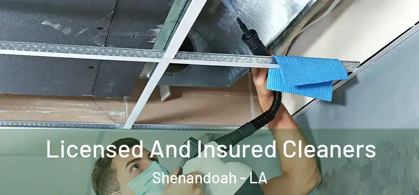  Licensed And Insured Cleaners Shenandoah - LA