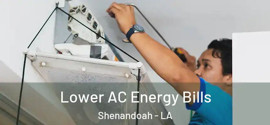  Lower AC Energy Bills Shenandoah - LA