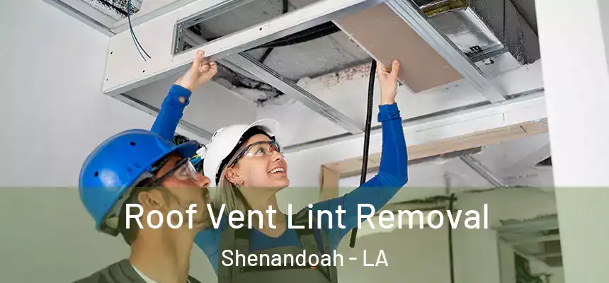  Roof Vent Lint Removal Shenandoah - LA