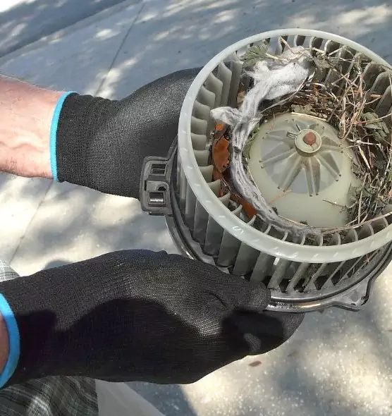 About Air Duct Mice Removal in Shenandoah, LA