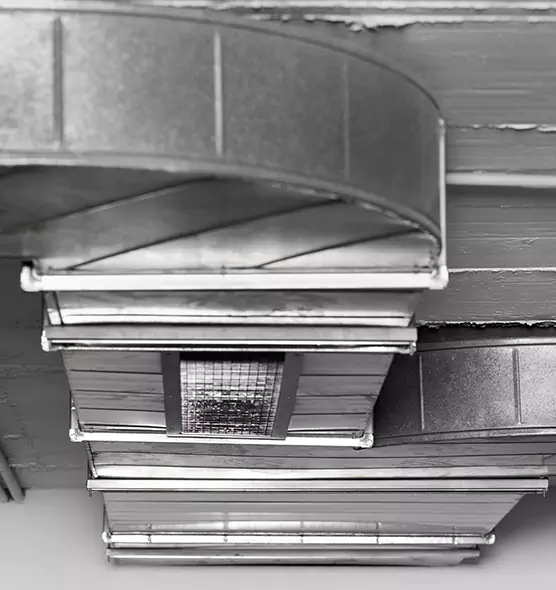 Professional Air Duct Pet Hair Removal in Shenandoah, LA