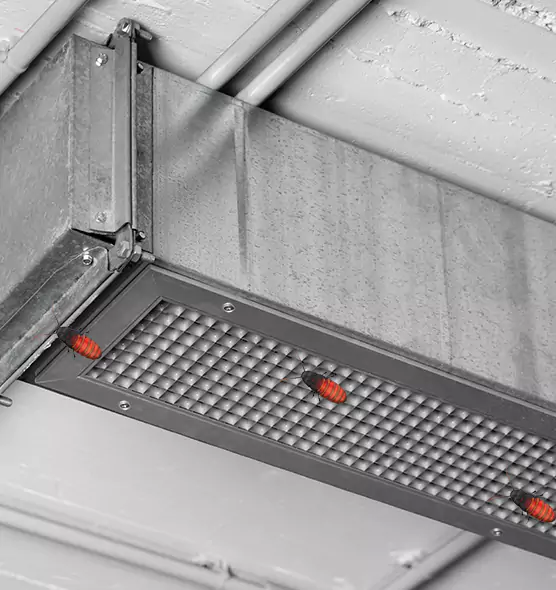 Affordable Insect Removal from Air Ducts in Shenandoah, LA