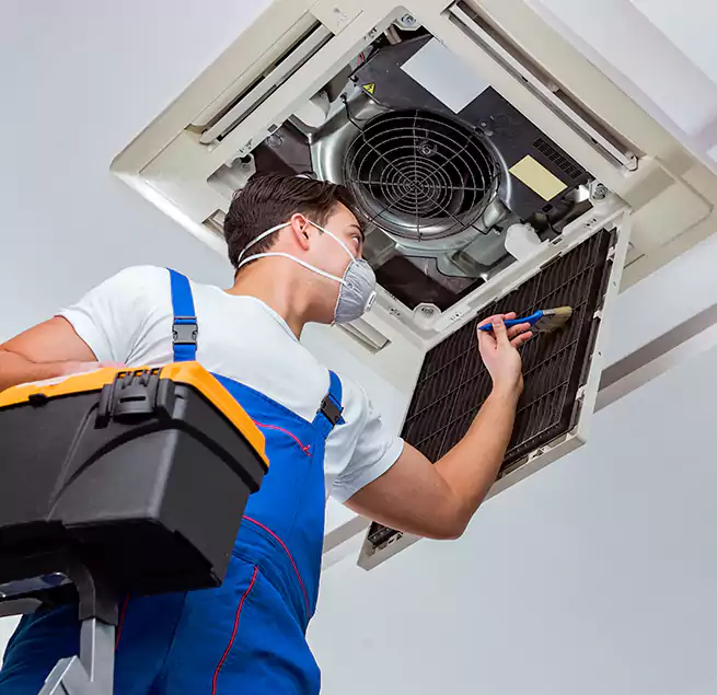 Why Homeowners & Businesses Trust Us in Shenandoah, LA