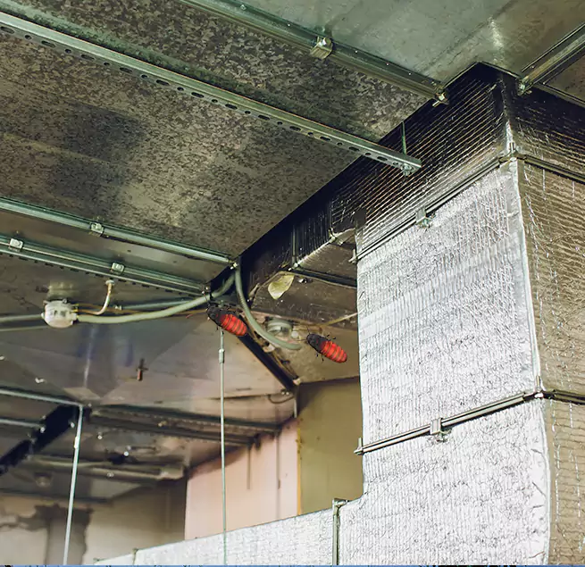 Why Homeowners & Businesses Trust Us Shenandoah, LA?